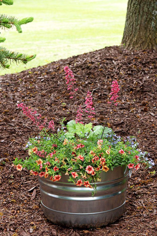 Container gardening made easy, a galvanized tub planted with pink calibrachoa, blue lobelia and coral bells under a tree