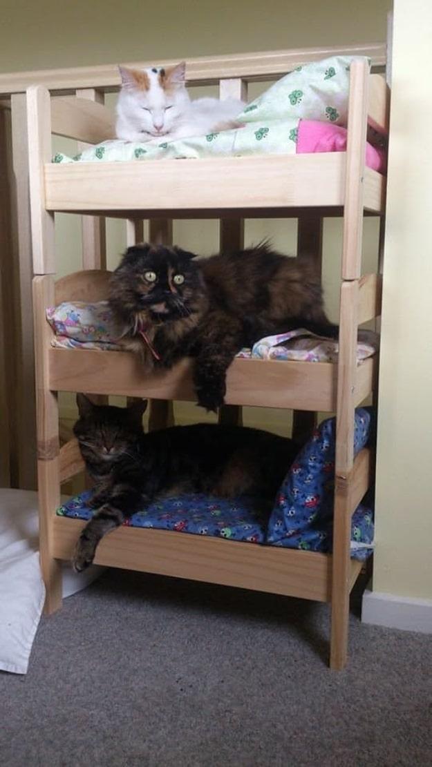 DIY Cat Bed From Ikea Doll Bed, easy to redo the next time it is needed and the kind of tip that gets remembered and reused