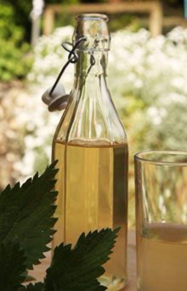 Nettle beer fermenting in a demijohn on a windowsill beside freshly picked stinging nettle leaves ready to serve at home