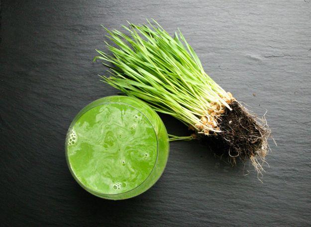 Favorite green juice in a glass on dark slate beside a bundle of wheatgrass still attached to its roots