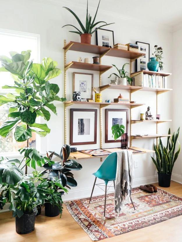 Wall mounted shelf system with gold tracks and wood shelves over a fold down desk, teal chair, plants and framed art