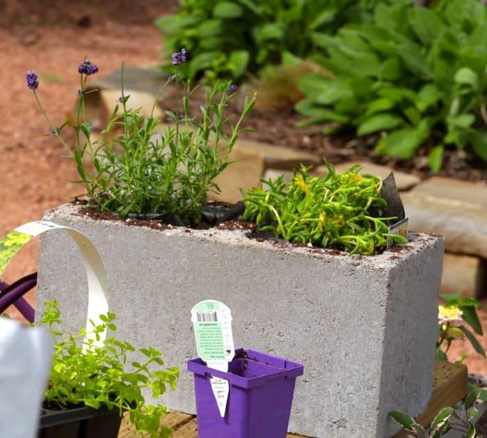 Easy DIY Concrete Bench Planter Tutorial