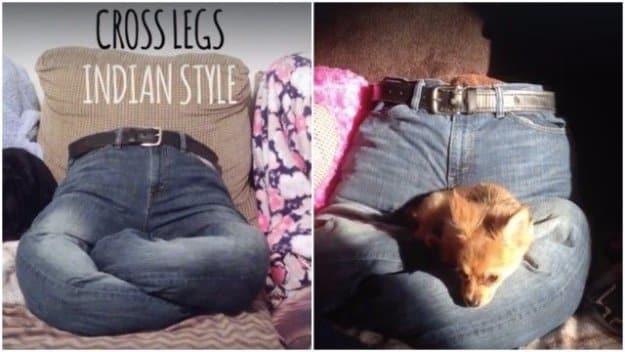 Pant Leg Puppy Bed (video), low key enough for a solo evening in and a charm that beats anything from a catalog