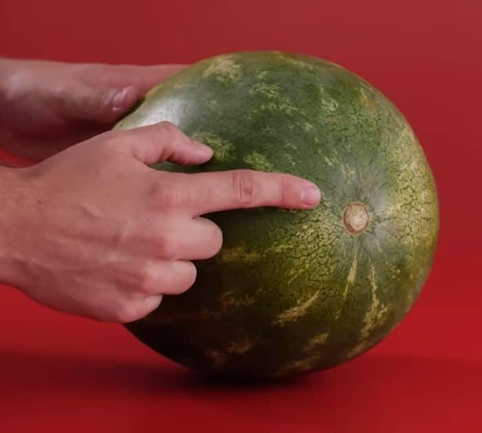 How to Pick a Sweet Watermelon