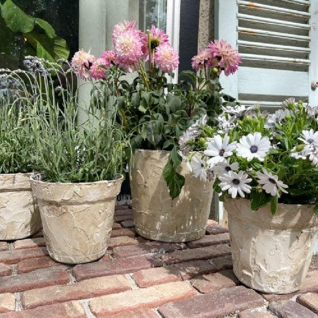 DIY faux stone planters, four pale rough textured planters on a brick porch filled with pink dahlias and white daisies