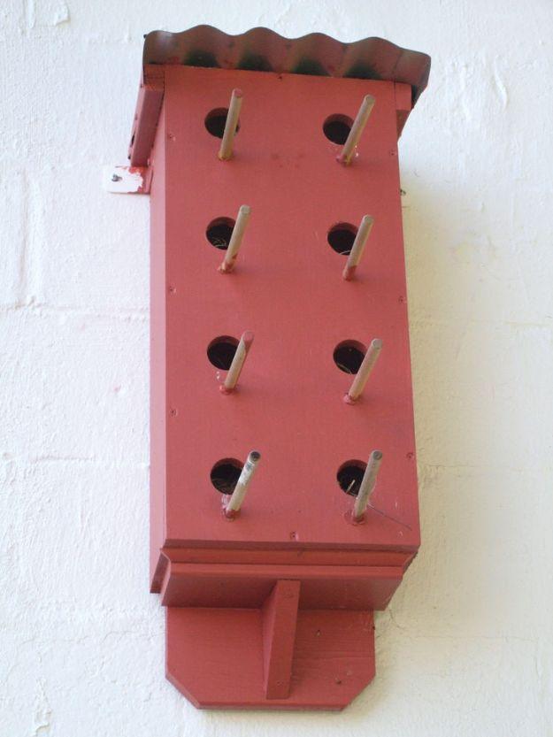 DIY Bird Houses - Simple Birdhouse Plan - Easy Bird House Ideas for Kids and Adult To Make - Free Plans and Tutorials for Wooden, Simple, Upcyle Designs, Recycle Plastic and Creati
