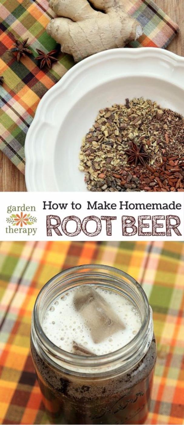 Homemade root beer in a glass mug with foam on top, surrounded by dried roots and sliced ginger and fresh ginger