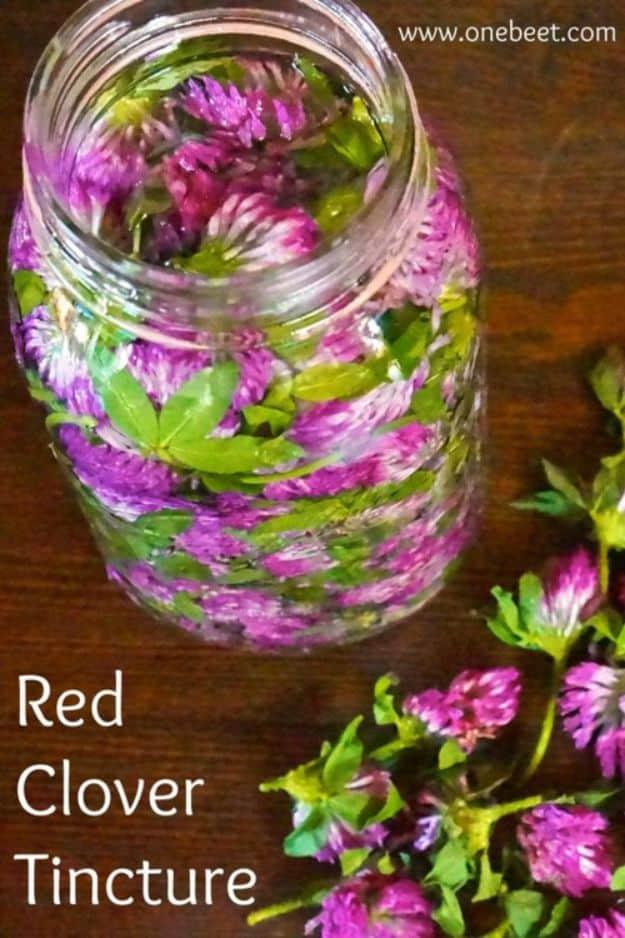 Red Clover Tincture, quick enough to finish over a weekend and a clever way to reuse scraps you already have
