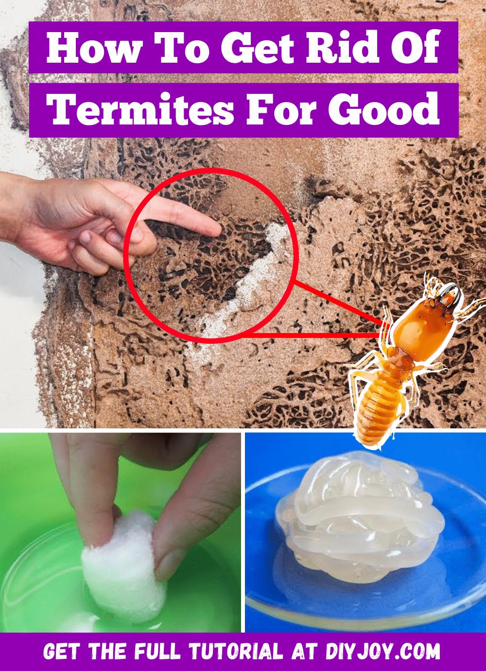 How To Get Rid Of Termites For Good