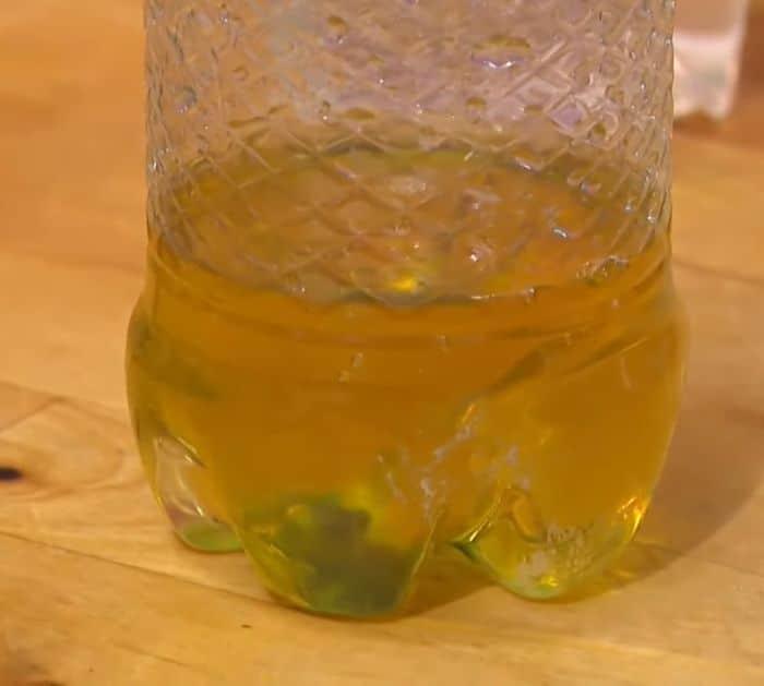 What You Need to Get Rid of Fruit Flies