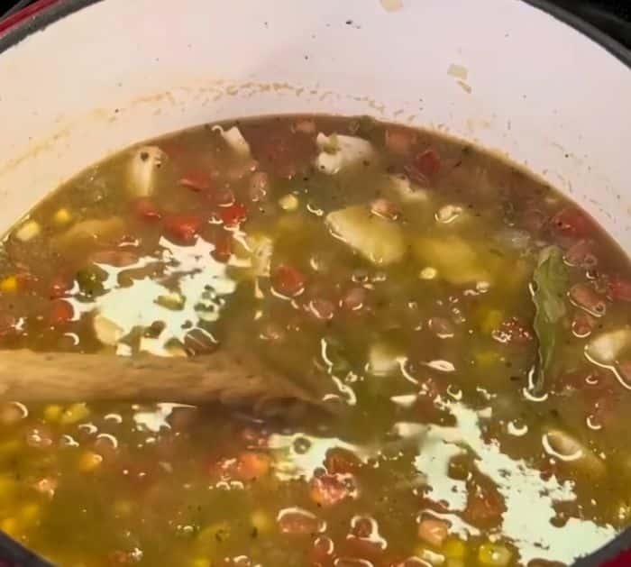 Chicken Chile Soup Recipe Instructions
