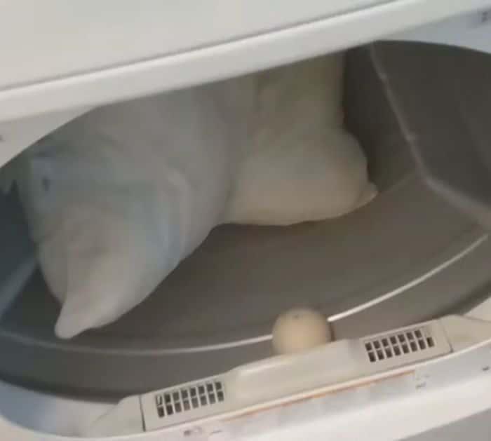 Easy Way to Clean and Wash Yellow Pillows