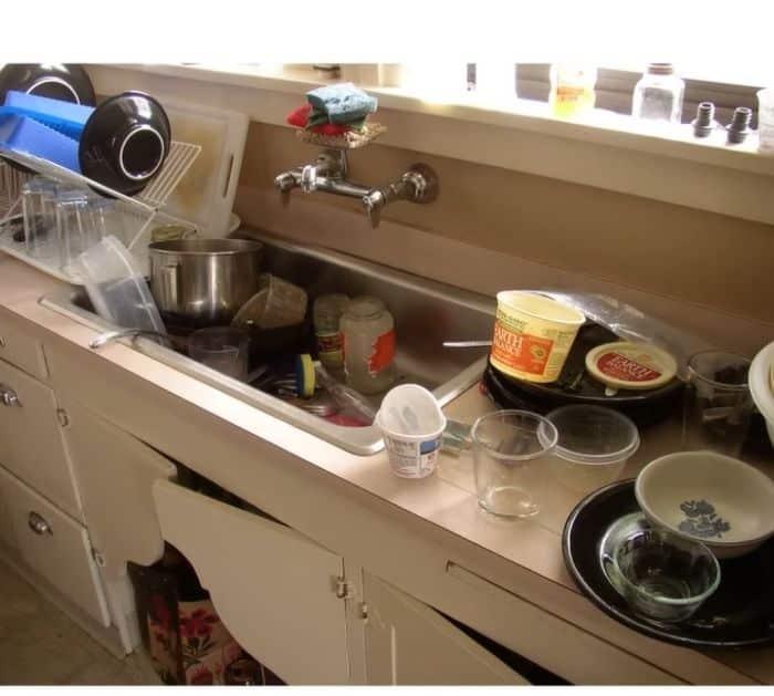 How to Get Rid of Rats Inside the House
