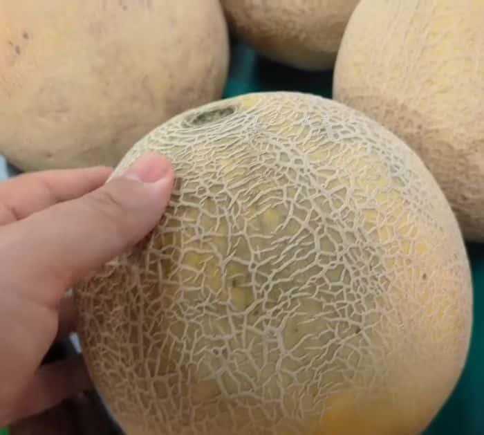 How to Pick The Perfect Cantaloupe Melon