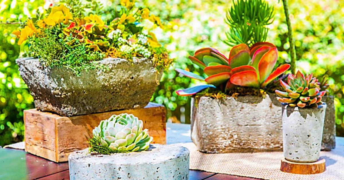 DIY Hypertufa Planters