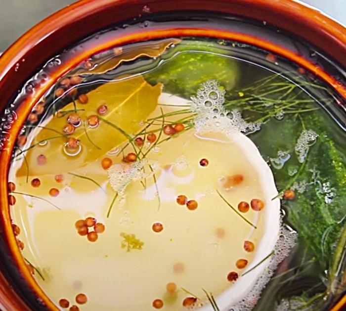 Set A Ramekin On Top Of Fermented Dill Pickles