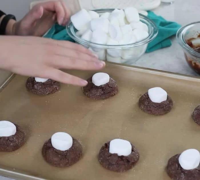 Easy to Make Hot Chocolate Cookies
