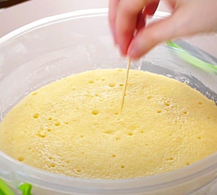 Microwave Recipes - Birthday Cake Ideas - One Layer Easy Cake
