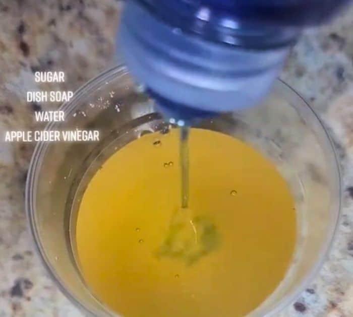 DIY Effective Fly Trap Steps