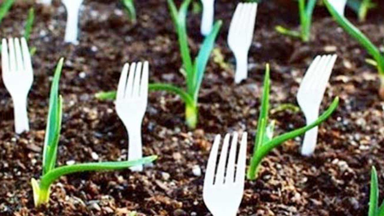 Keep Animals Out Of The Garden With Plastic Forks