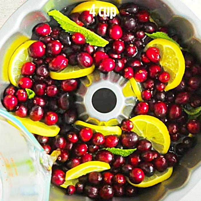 Champagne Punch Recipe - How To Make An Ice Ring - Holiday Punch