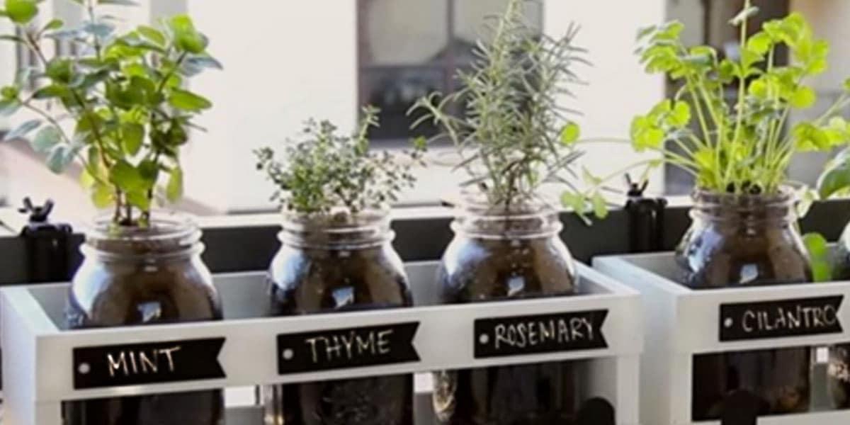 You Can Plant Fresh Herbs In Minutes With This Mason Jar Herb Garden!