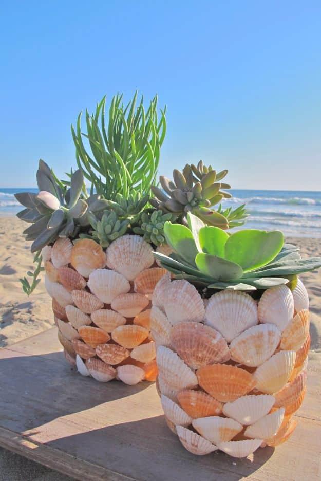 DIY seashell planter, two small pots shingled in flat shells and planted with green succulents on a beach