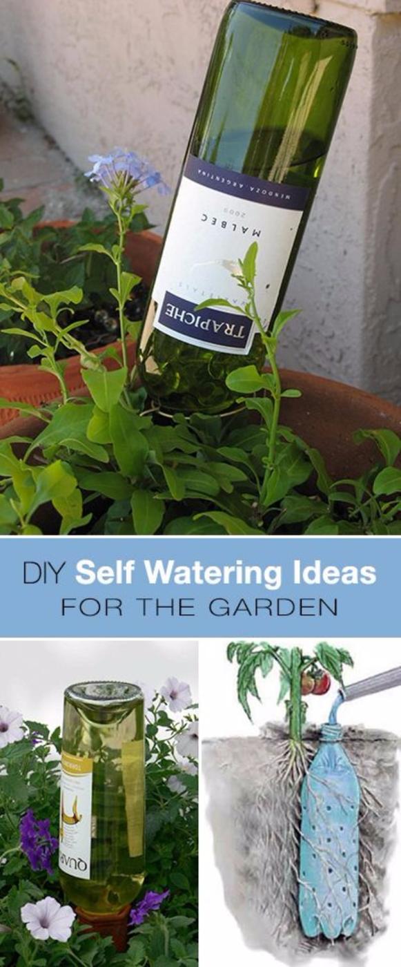 Wine bottle self watering, a green wine bottle upended neck down into the soil of a potted plant on a patio