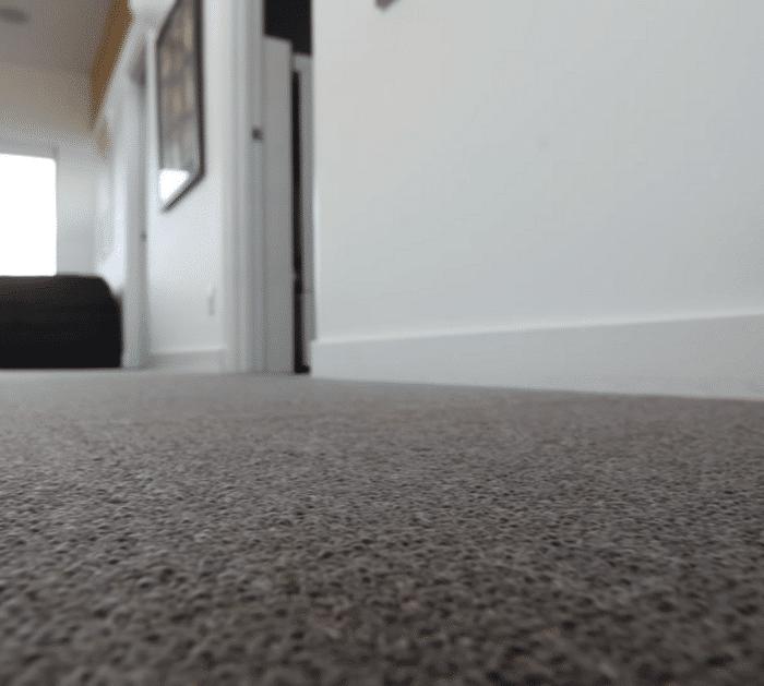 How to Prevent and Remove Mold at Home Steps
