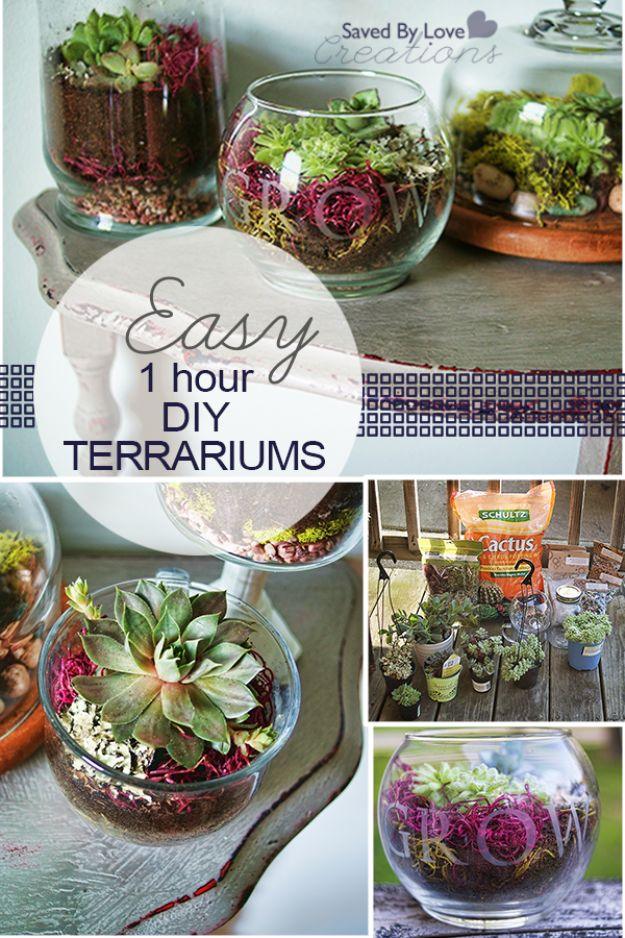 Easy one hour DIY terrariums, a collage of thrifted glass bowls and jars planted with succulents moss and pebbles