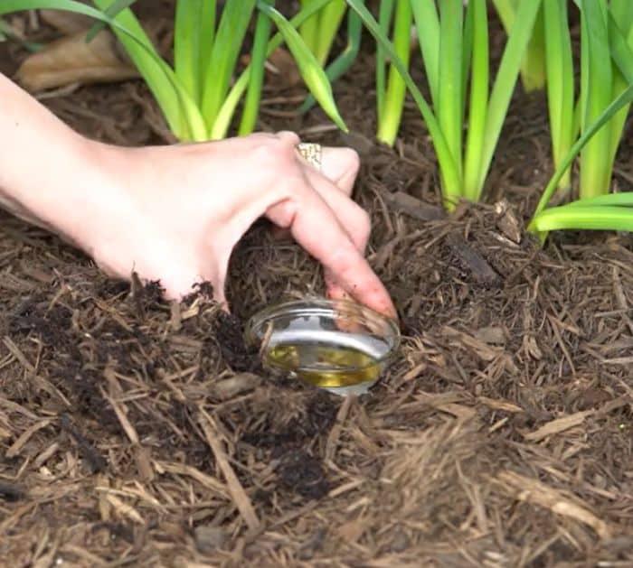 Unusual Uses For Beer