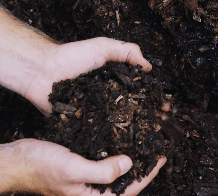 How to Garden Without Digging