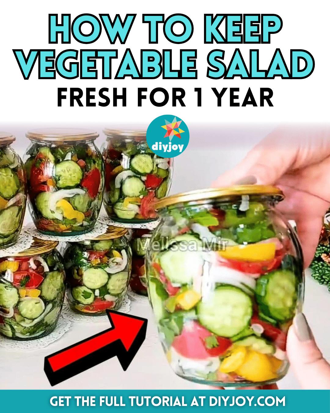 How To Keep Vegetable Salad Fresh For 1 Year