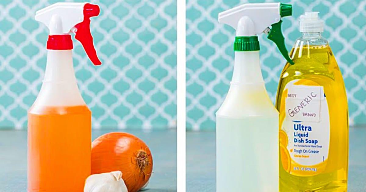 3 Natural Garden Bug Spray Recipes