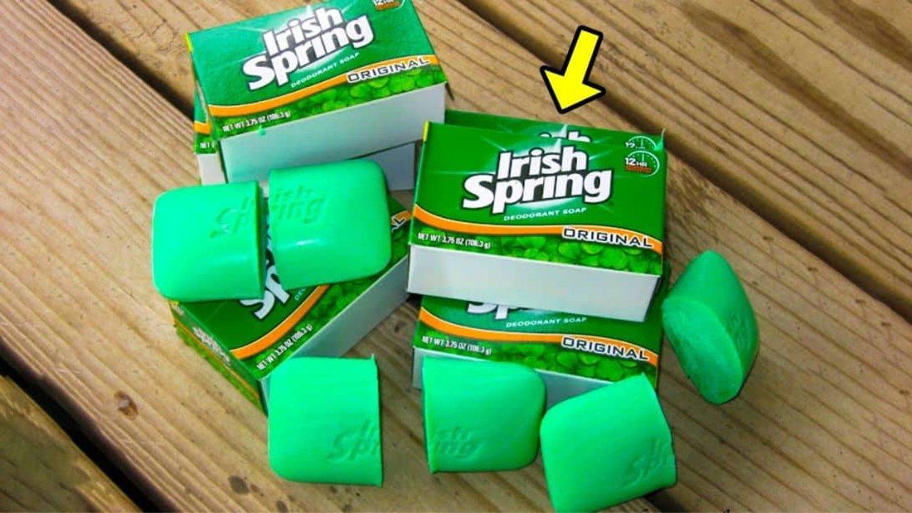 How to Keep Yard Pests Away Using Irish Spring Soap