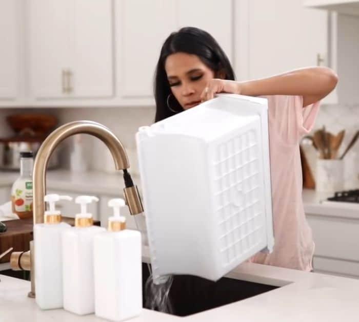 Ultimate Fridge Organization in 5 Easy Steps Cleaning