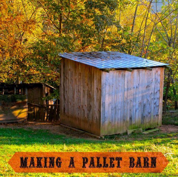 Pallet storage barn, a rough sawn timber barn with a tin roof standing in a yard surrounded by yellow autumn trees