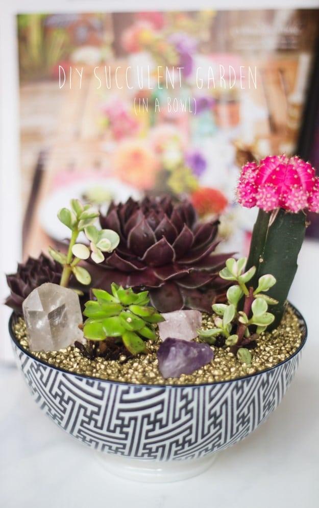 DIY Succulent Garden in a Bowl, an idea that is easy to recreate at home and handy for your next project