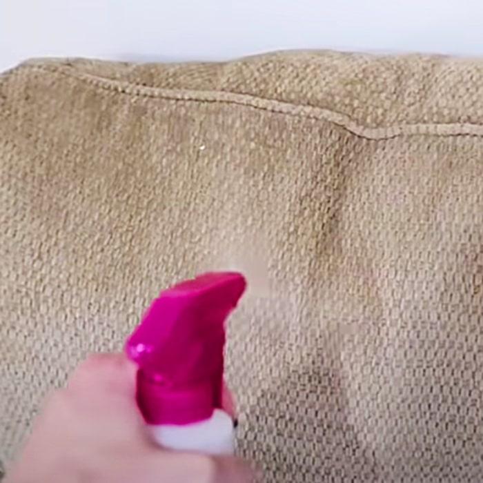Cleaning Hacks - Pet Stink Hacks - DIY Furniture Cleaning