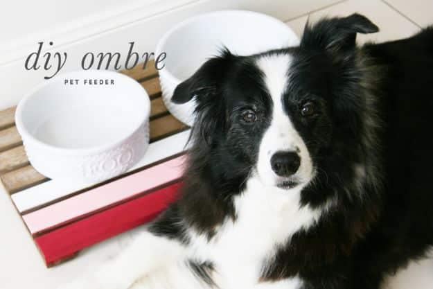 DIY Pet Bowls And Feeding Stations - Ombre DIY Dog Feeder - Easy Ideas for Serving Dog and Cat Food, Ways to Raise and Store Bowls - Organize Your Dog Food and Water Bowl With Thes