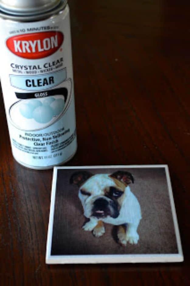 Square white ceramic tile coaster with a photo of an English bulldog mod podged on, beside a can of Krylon clear gloss spray