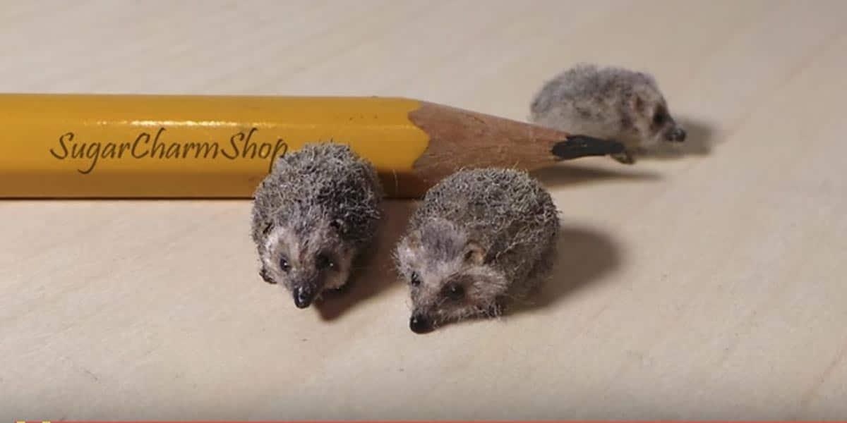 Don’t You Want to Make One of These Precious Little Polymer Clay Hedgehogs?