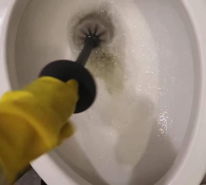 Easy Toilet Cleaning Trick Using Pine Sol