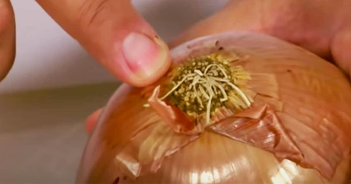 How To Cut Onions Without Crying