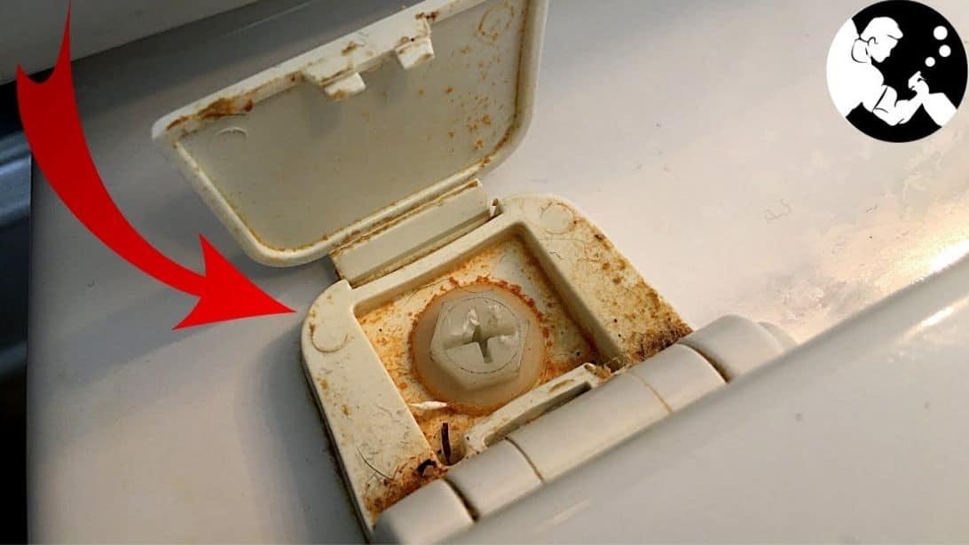 9 Reasons Your Bathroom Stinks & How to Fix It