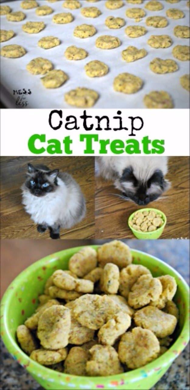 Catnip Cat Treats Recipe, a healthier swap for store bought pet treats and an easy one to make again