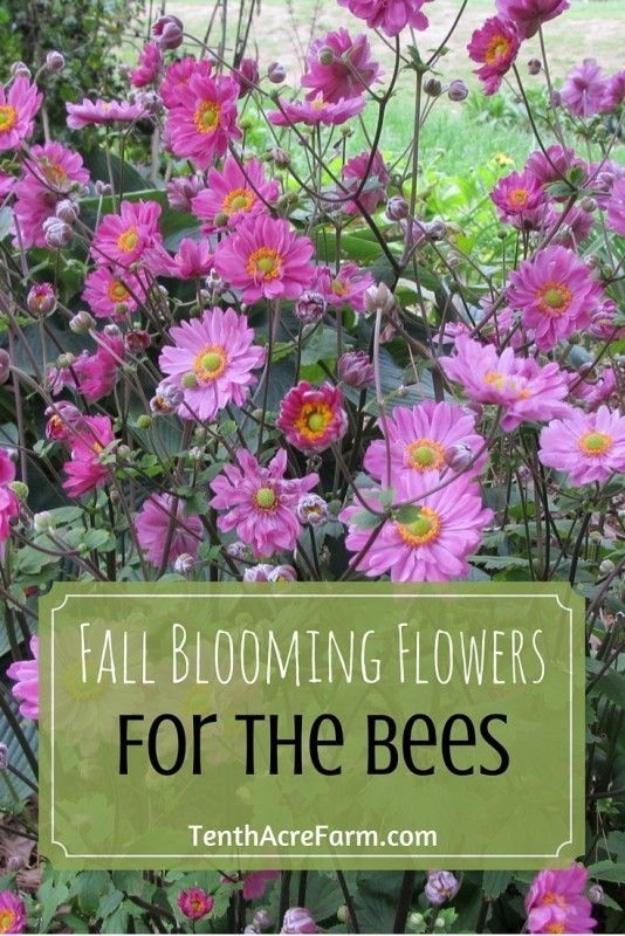 Cluster of pink Japanese anemone flowers with yellow centers, titled Fall Blooming Flowers for the Bees