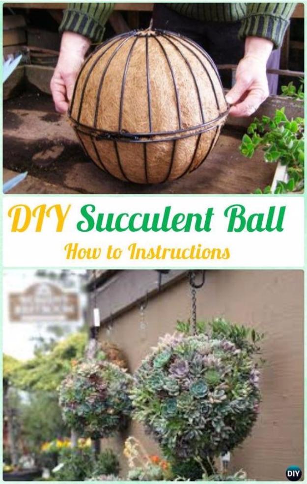 DIY Outdoor Succulent Garden, an outdoor diy project, simple enough for a first try and an idea worth saving for later