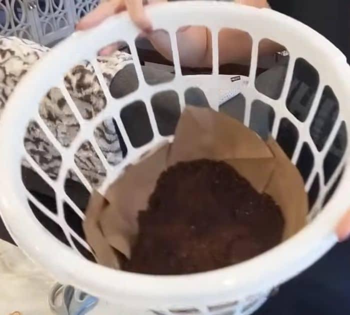 Easy Potato Growing Trick Tutorial