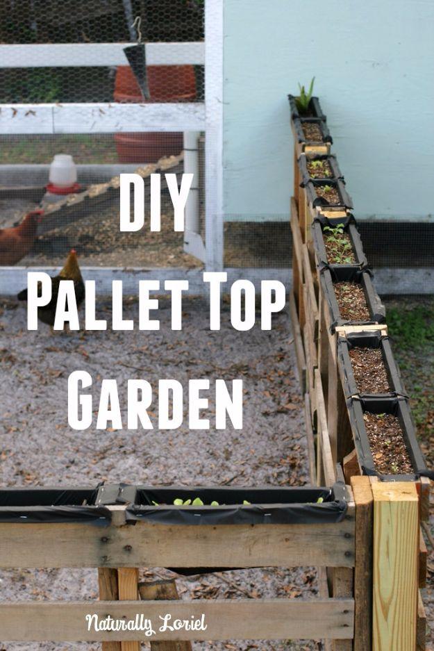 Pallet top garden fence, wooden pallet rails lined with black fabric and filled with soil and seedlings beside a coop